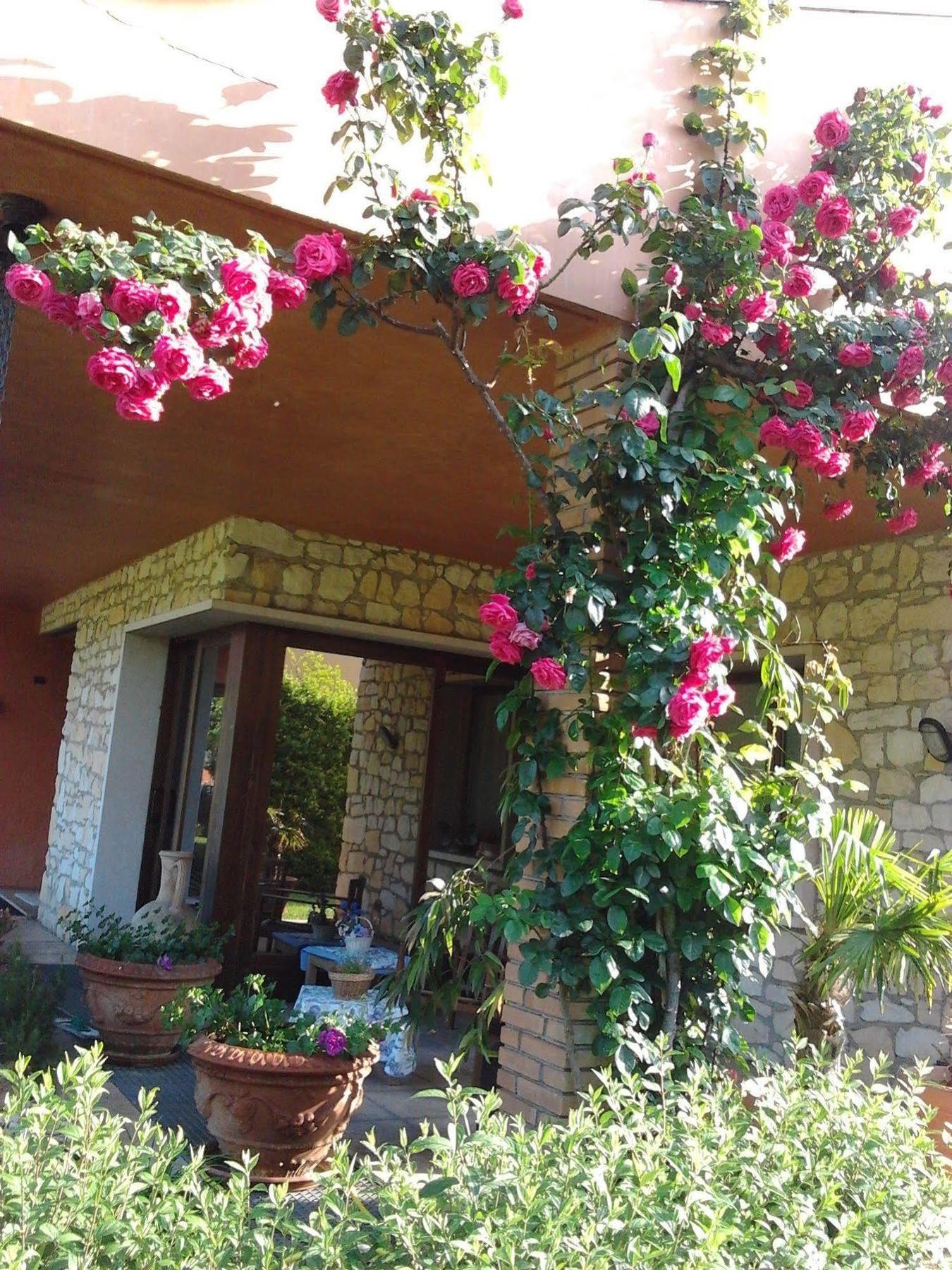 La Dolce Vita Montecchia di Crosara Екстериор снимка